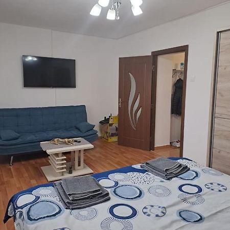 Appartement Garsoniera Bia à Braşov Extérieur photo