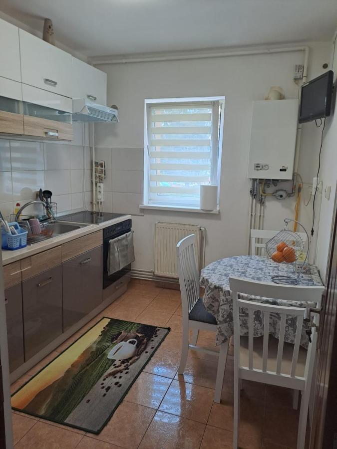 Appartement Garsoniera Bia à Braşov Extérieur photo